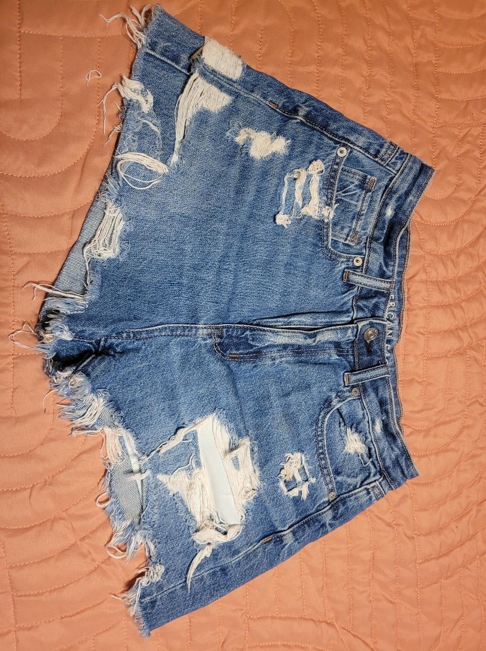 American Eagle Distressed Cutoff Jean Shorts